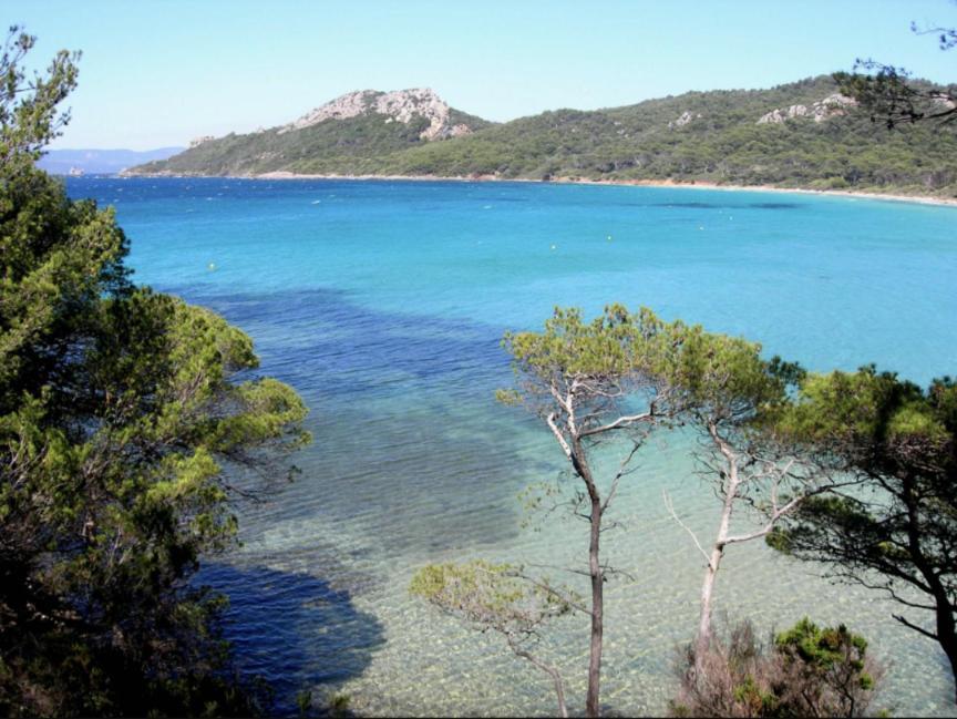 Superbe T2 Proche Des Plages Et Des Commerces Hyères Buitenkant foto